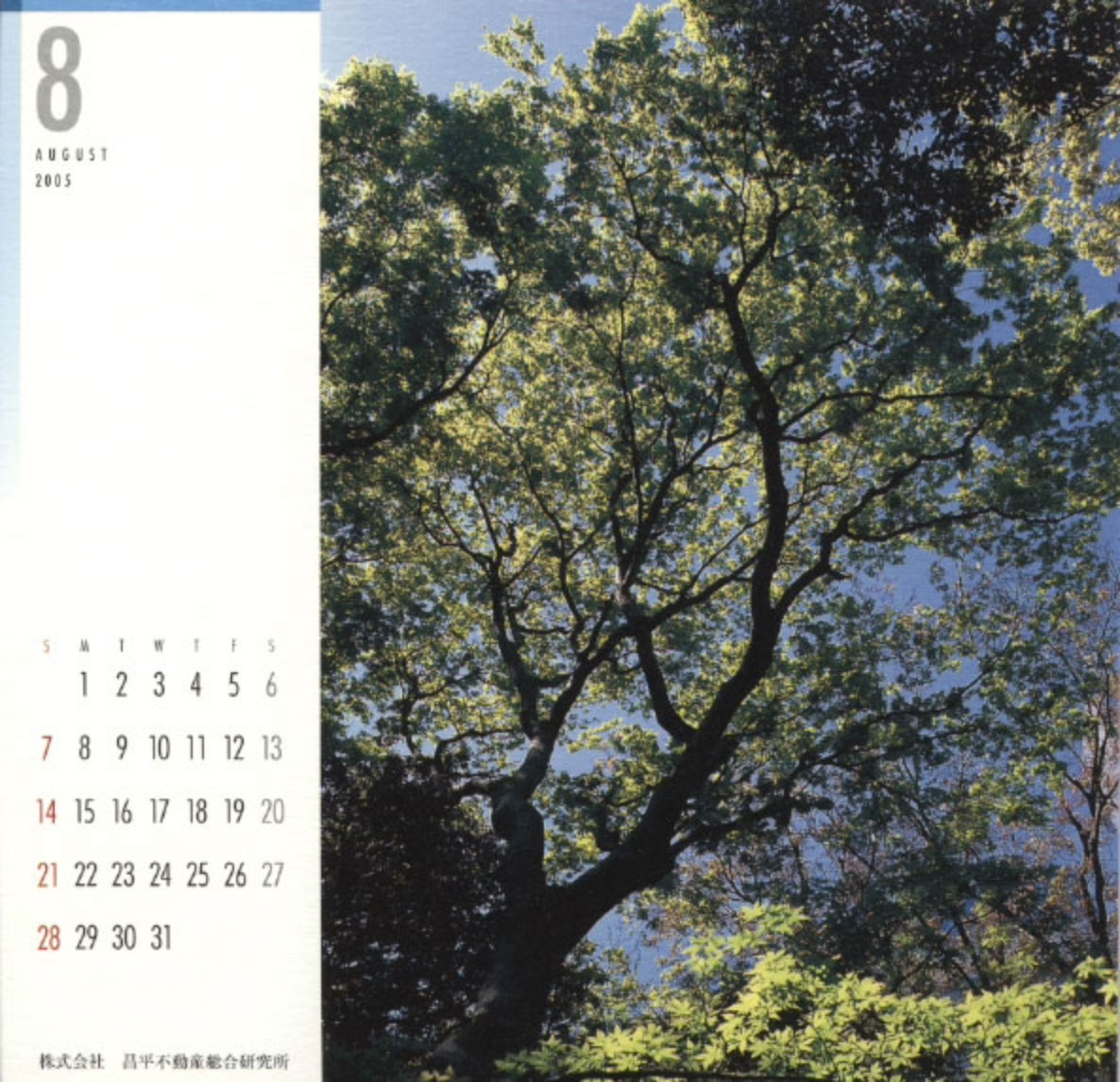 2005年8月